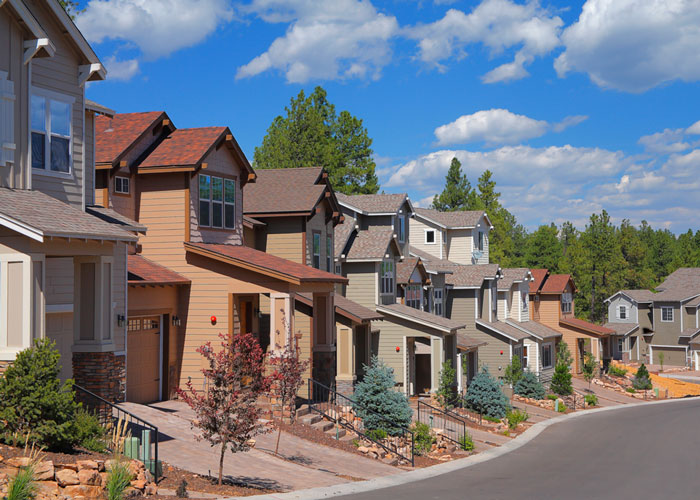Pinnacle Pines
